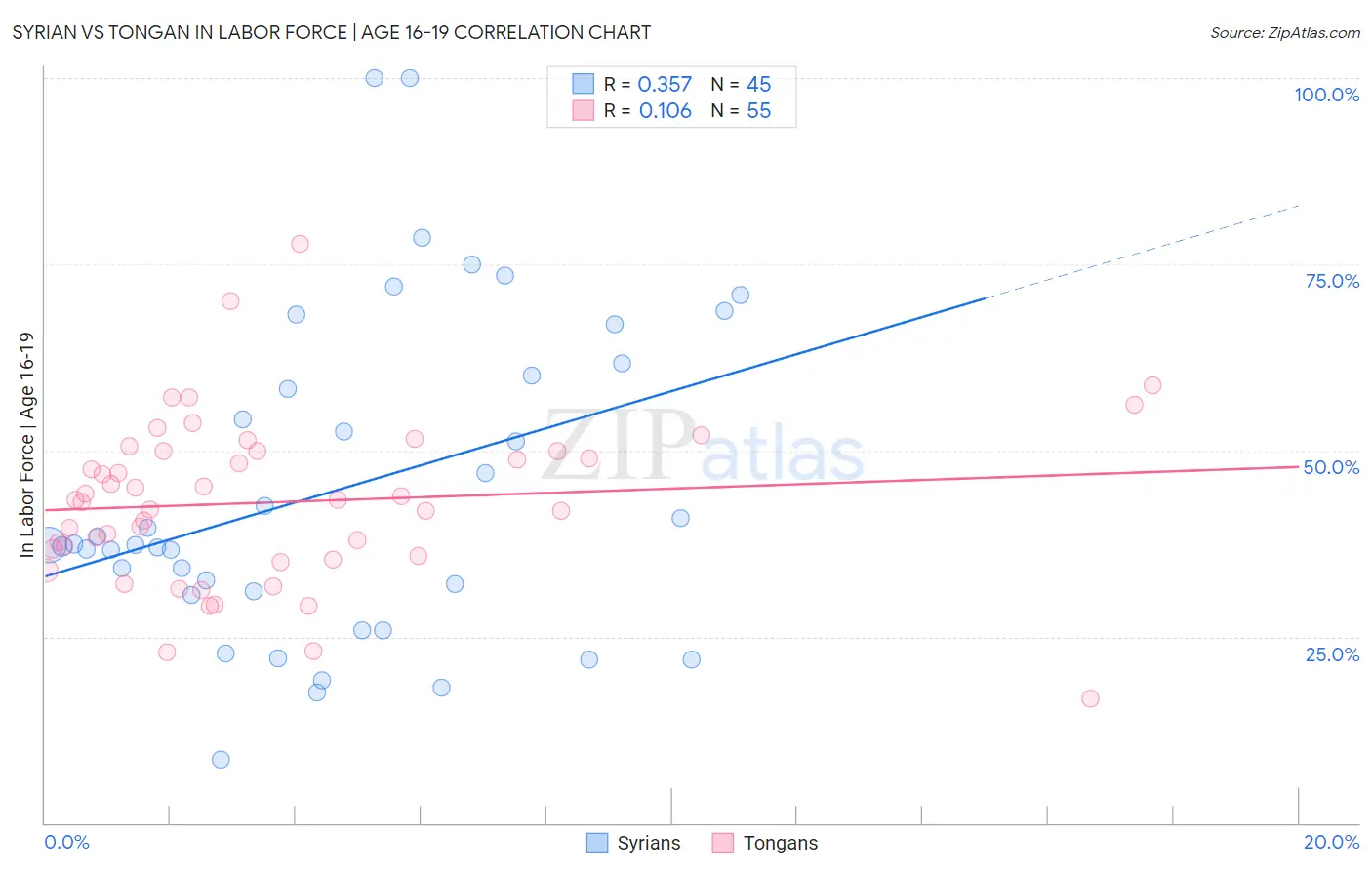 Syrian vs Tongan In Labor Force | Age 16-19