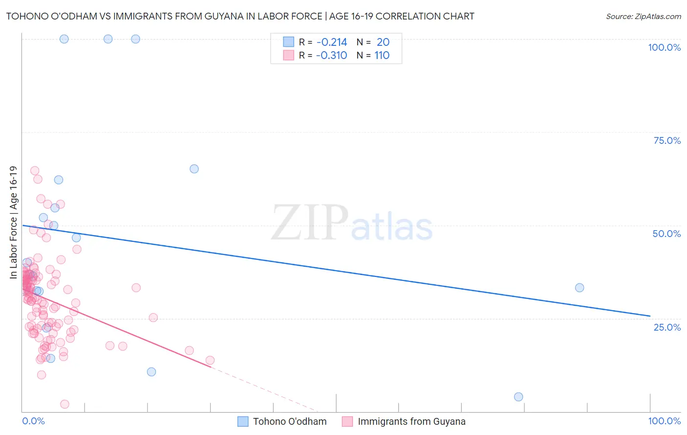 Tohono O'odham vs Immigrants from Guyana In Labor Force | Age 16-19