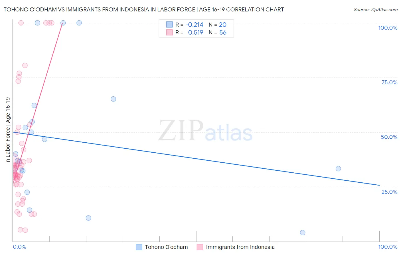 Tohono O'odham vs Immigrants from Indonesia In Labor Force | Age 16-19