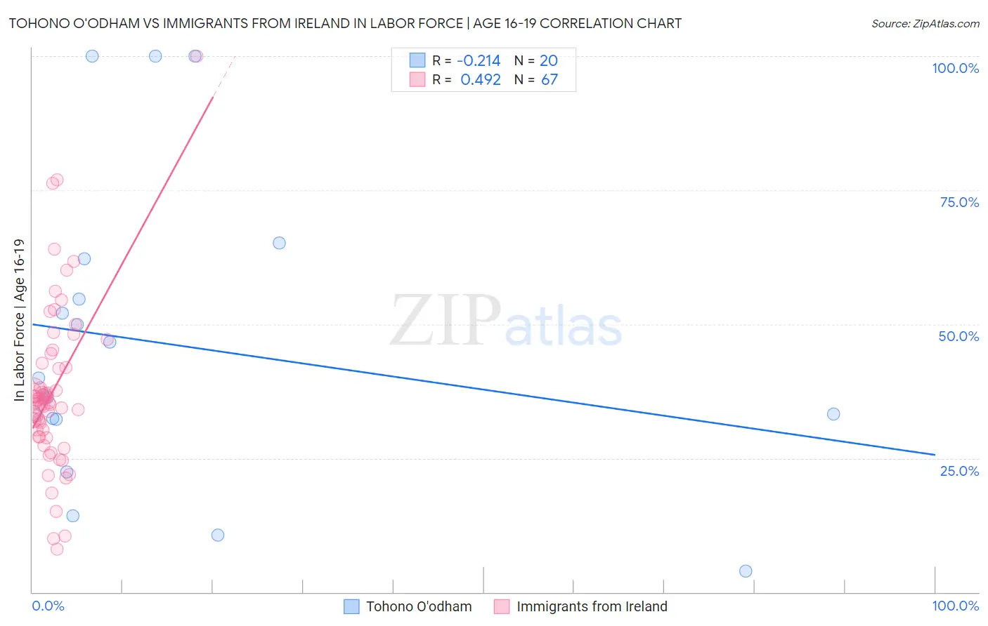 Tohono O'odham vs Immigrants from Ireland In Labor Force | Age 16-19