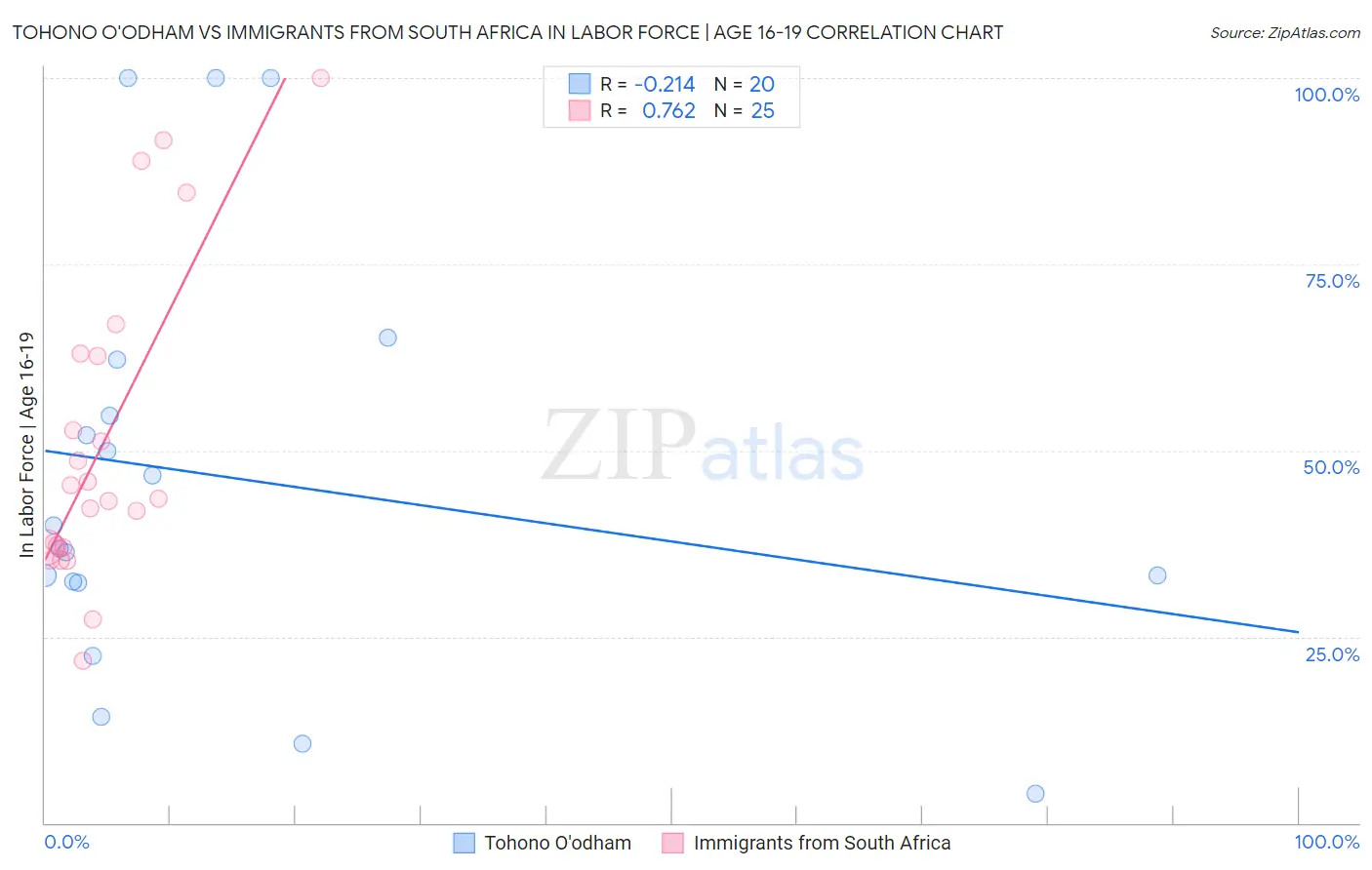 Tohono O'odham vs Immigrants from South Africa In Labor Force | Age 16-19