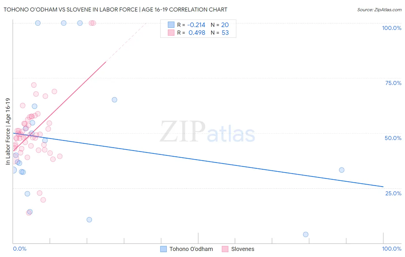 Tohono O'odham vs Slovene In Labor Force | Age 16-19