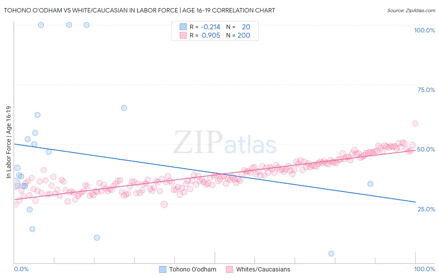 Tohono O'odham vs White/Caucasian In Labor Force | Age 16-19