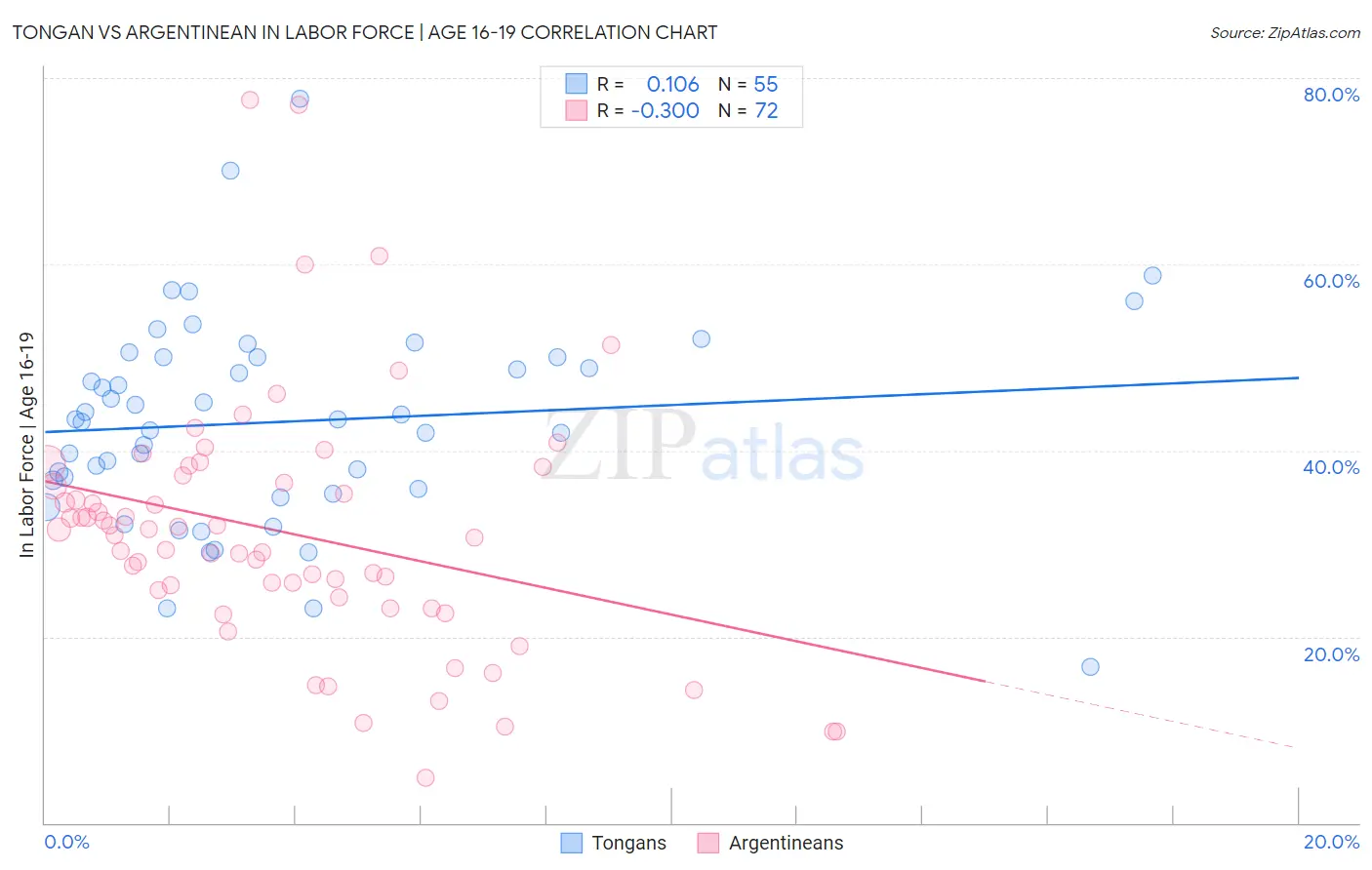 Tongan vs Argentinean In Labor Force | Age 16-19