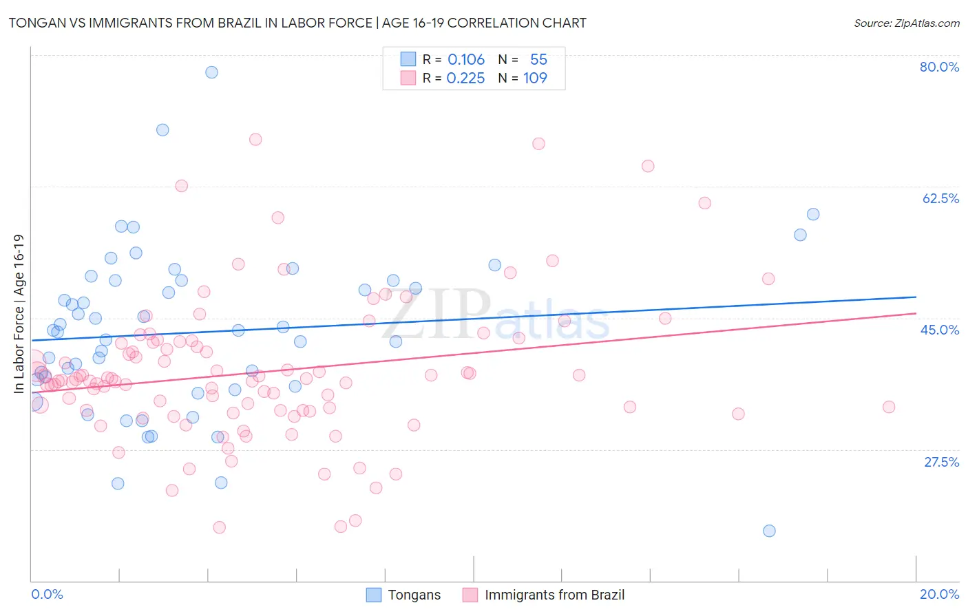 Tongan vs Immigrants from Brazil In Labor Force | Age 16-19