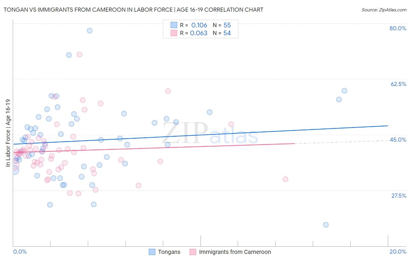 Tongan vs Immigrants from Cameroon In Labor Force | Age 16-19