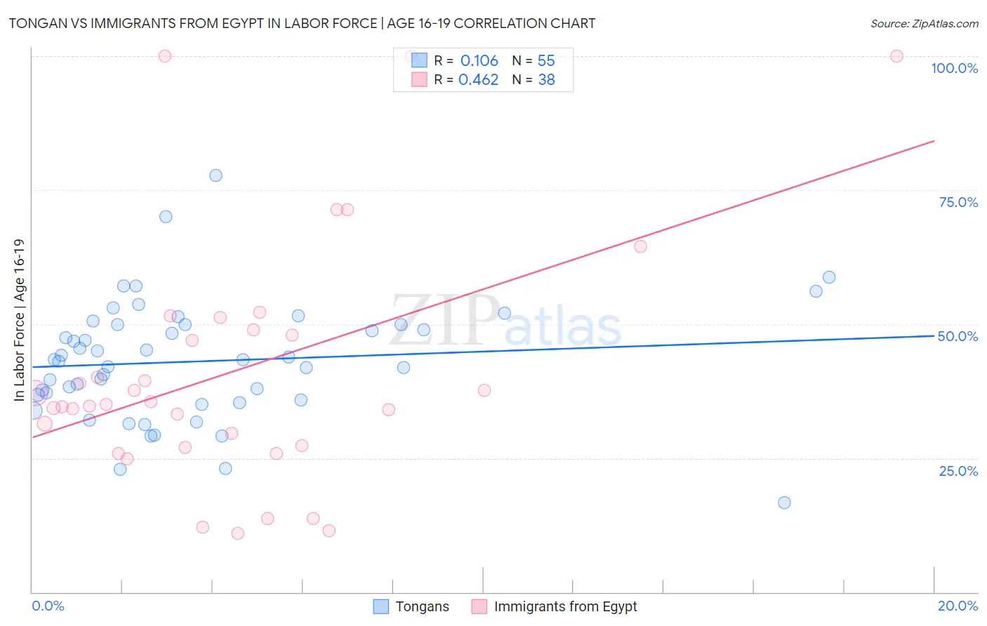 Tongan vs Immigrants from Egypt In Labor Force | Age 16-19