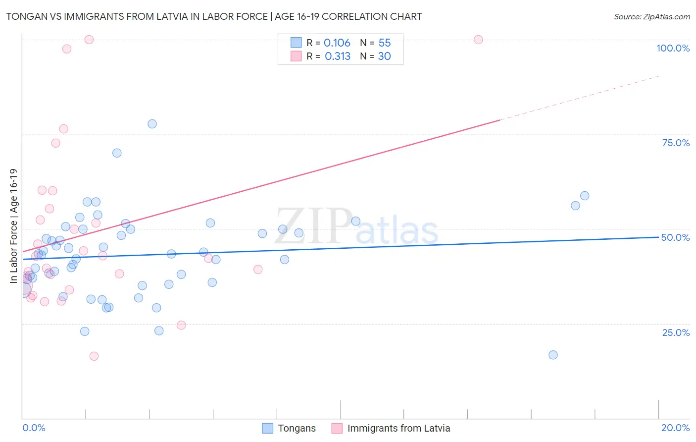 Tongan vs Immigrants from Latvia In Labor Force | Age 16-19