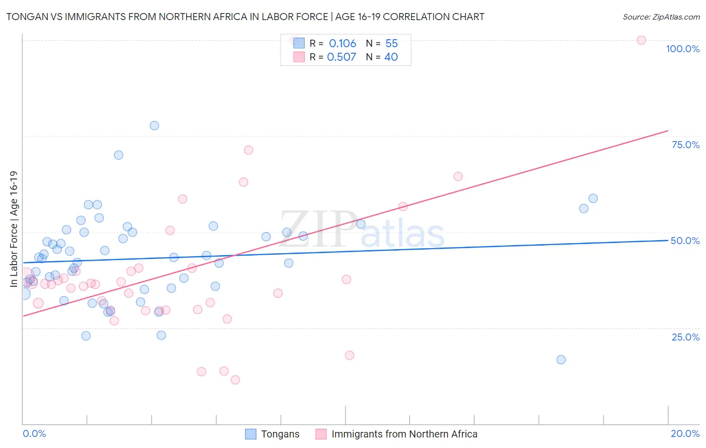 Tongan vs Immigrants from Northern Africa In Labor Force | Age 16-19