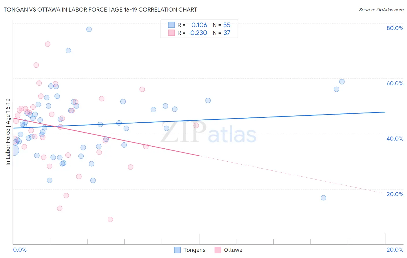 Tongan vs Ottawa In Labor Force | Age 16-19