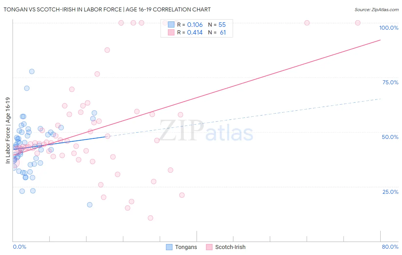 Tongan vs Scotch-Irish In Labor Force | Age 16-19