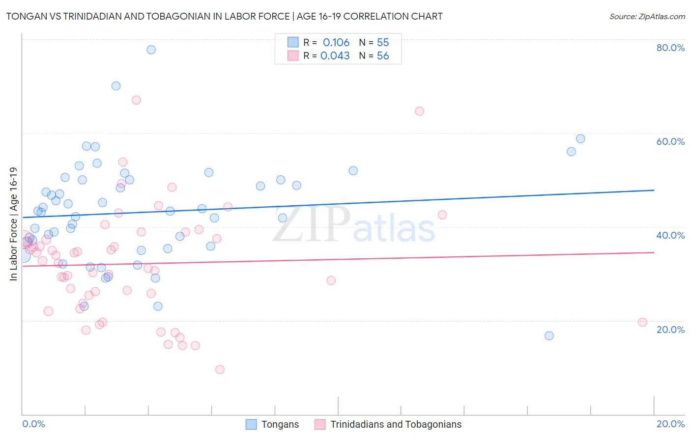 Tongan vs Trinidadian and Tobagonian In Labor Force | Age 16-19