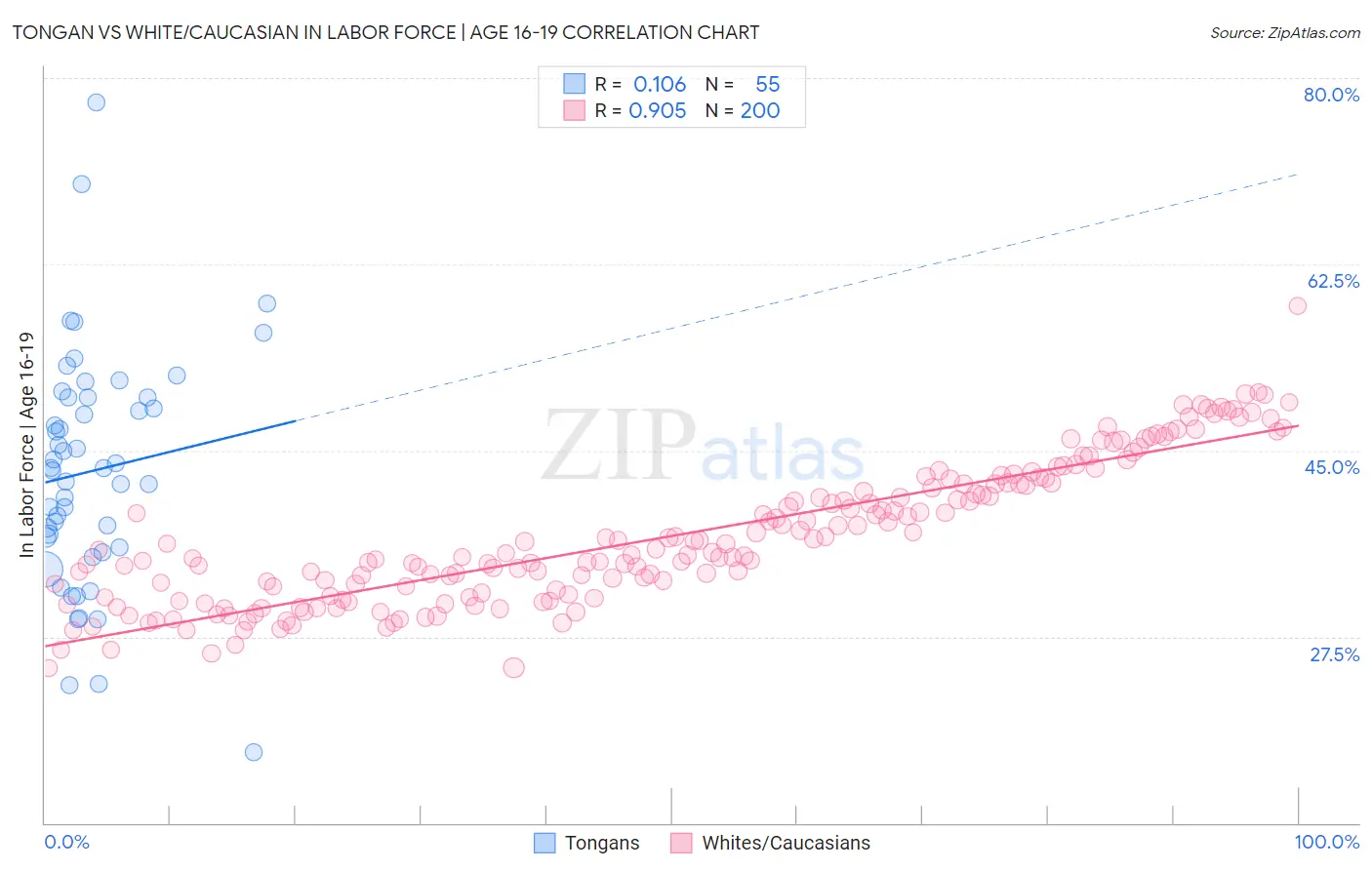 Tongan vs White/Caucasian In Labor Force | Age 16-19