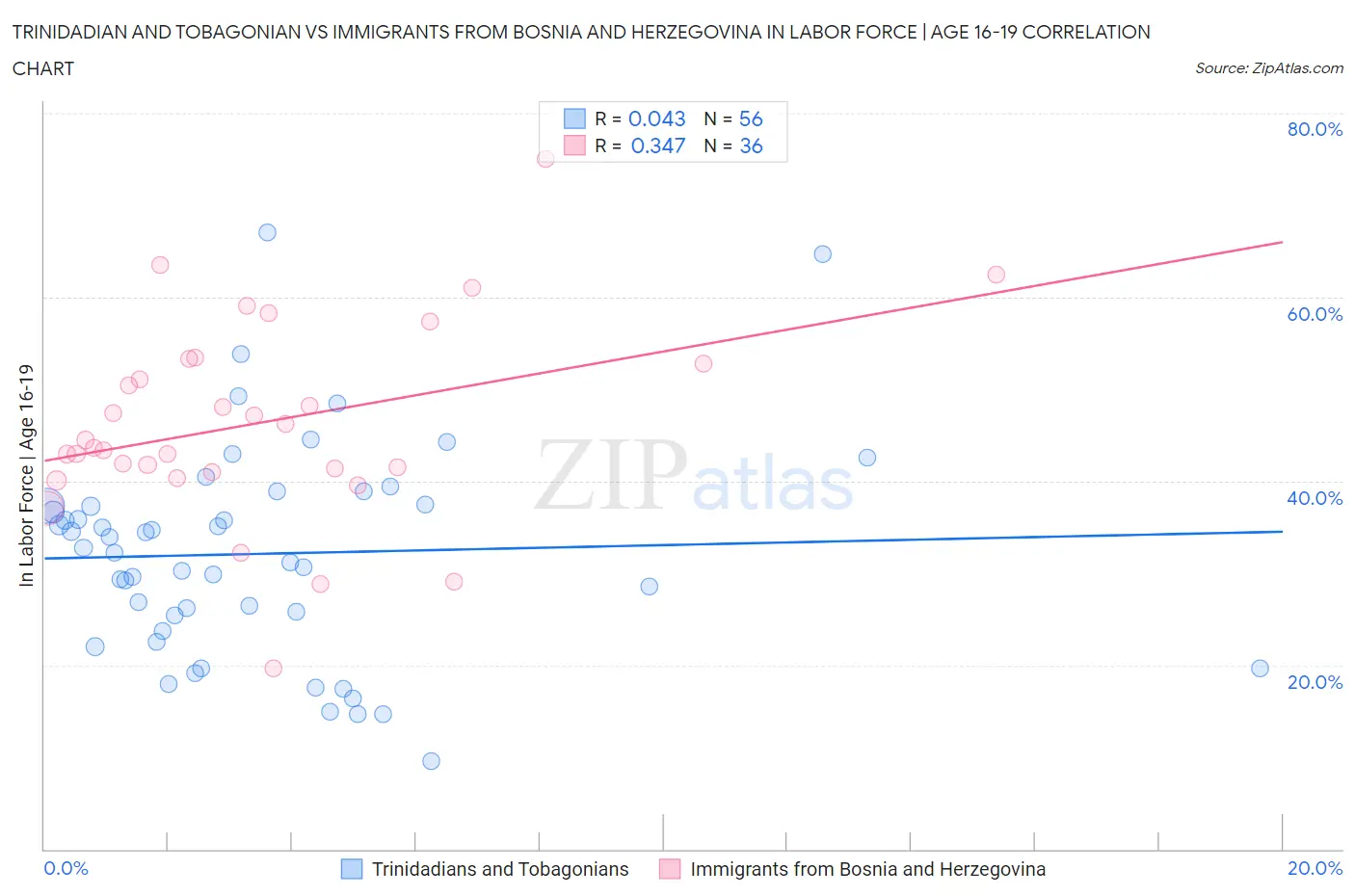 Trinidadian and Tobagonian vs Immigrants from Bosnia and Herzegovina In Labor Force | Age 16-19