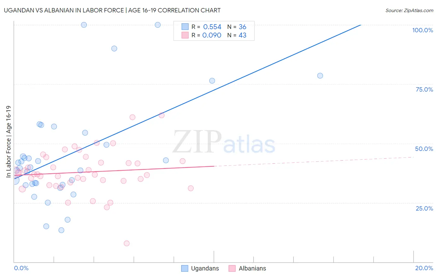 Ugandan vs Albanian In Labor Force | Age 16-19