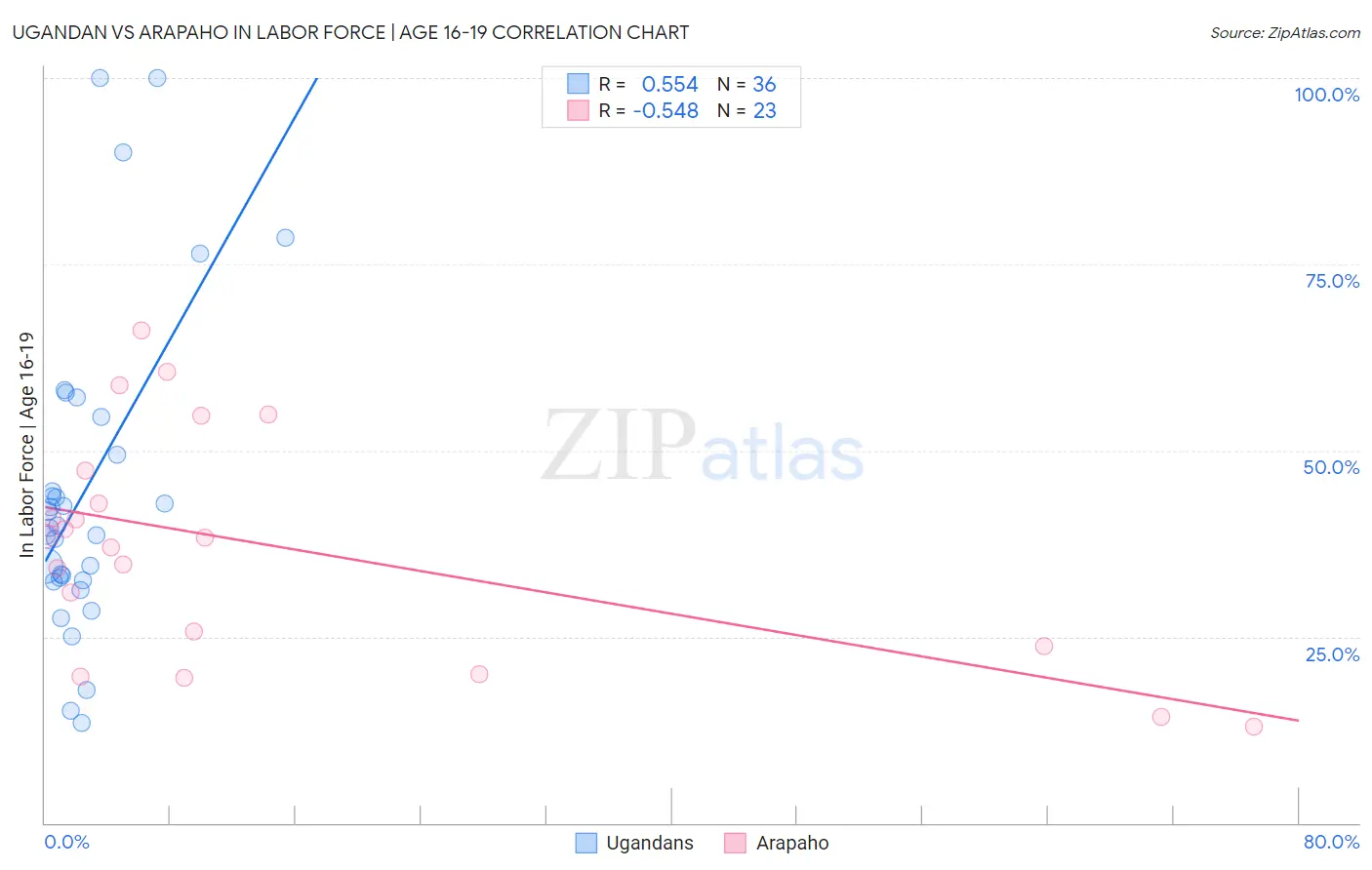 Ugandan vs Arapaho In Labor Force | Age 16-19