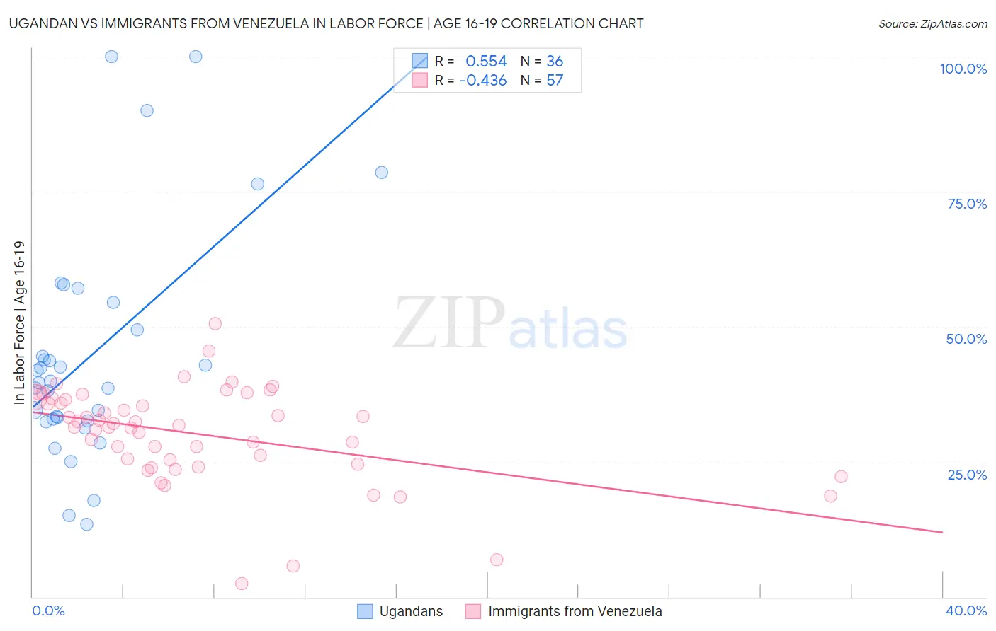 Ugandan vs Immigrants from Venezuela In Labor Force | Age 16-19