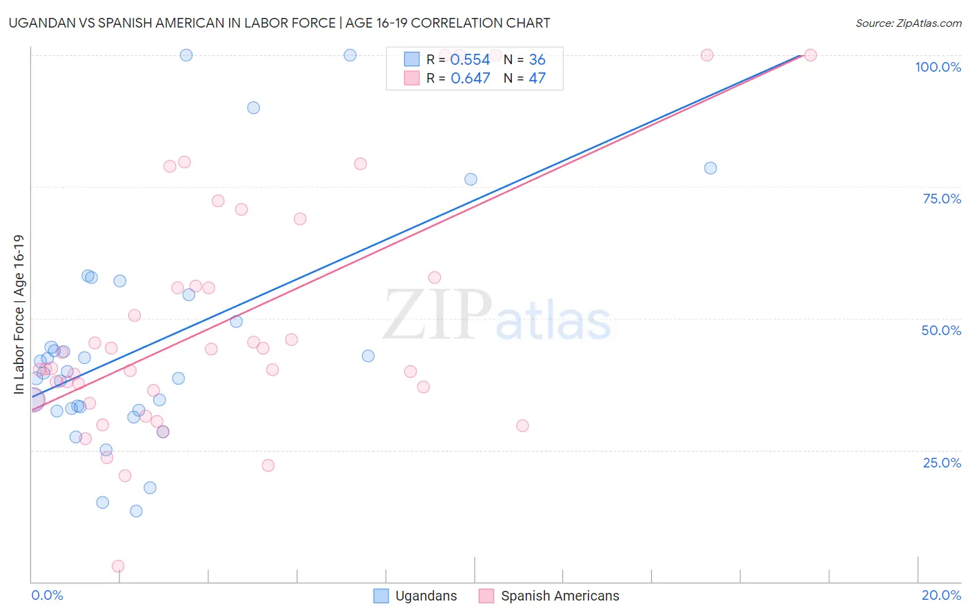 Ugandan vs Spanish American In Labor Force | Age 16-19