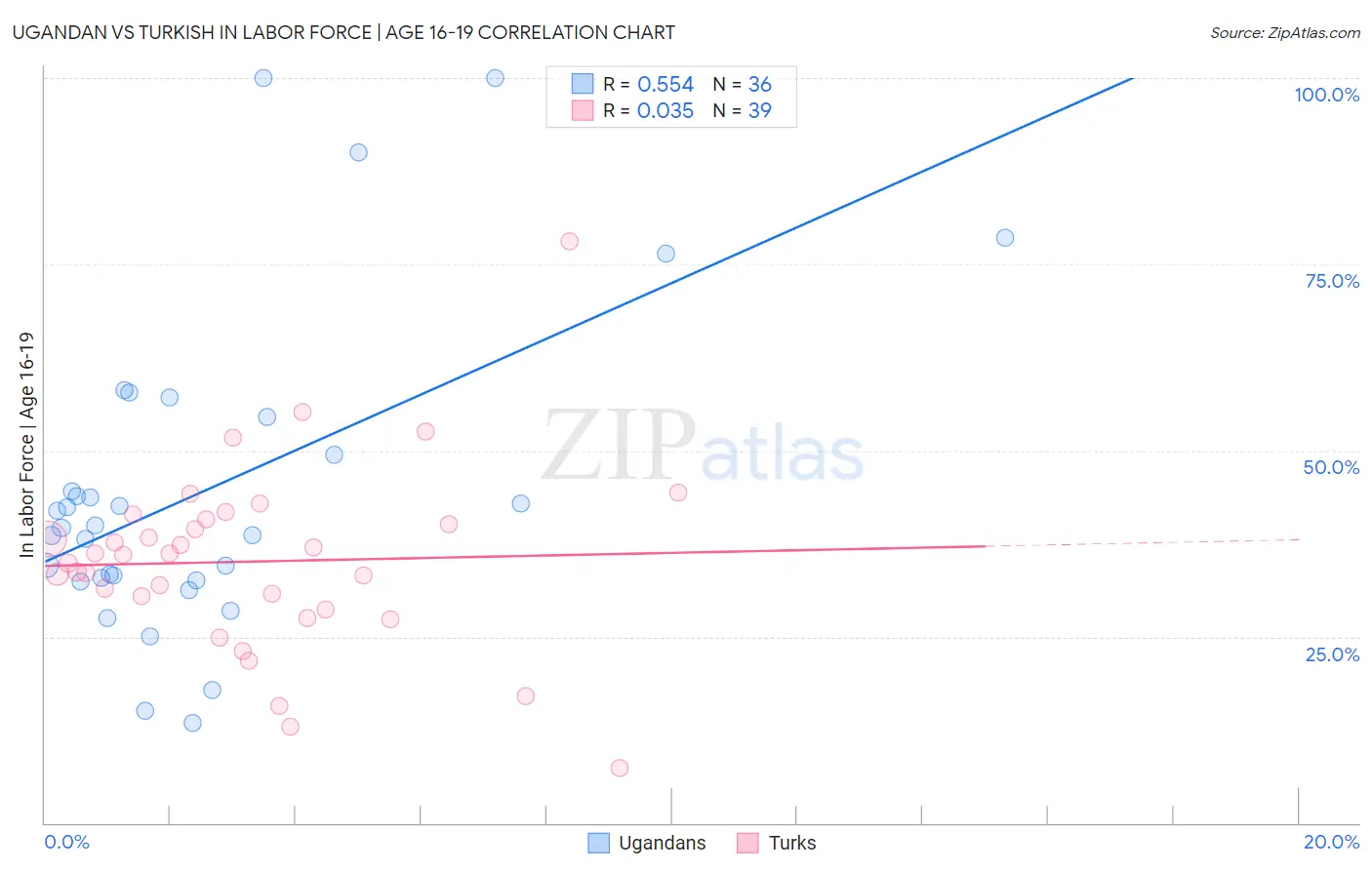 Ugandan vs Turkish In Labor Force | Age 16-19