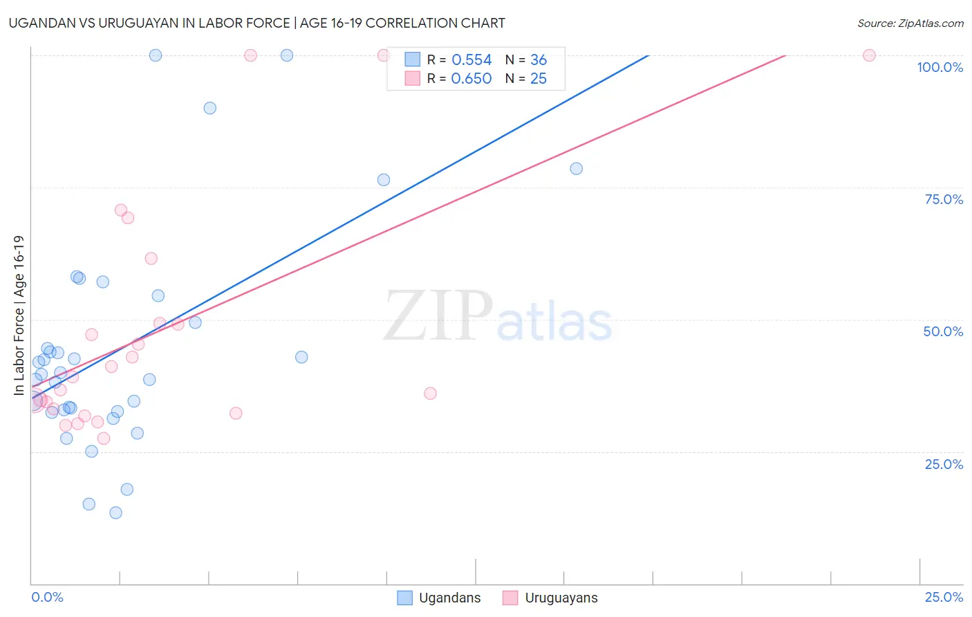 Ugandan vs Uruguayan In Labor Force | Age 16-19