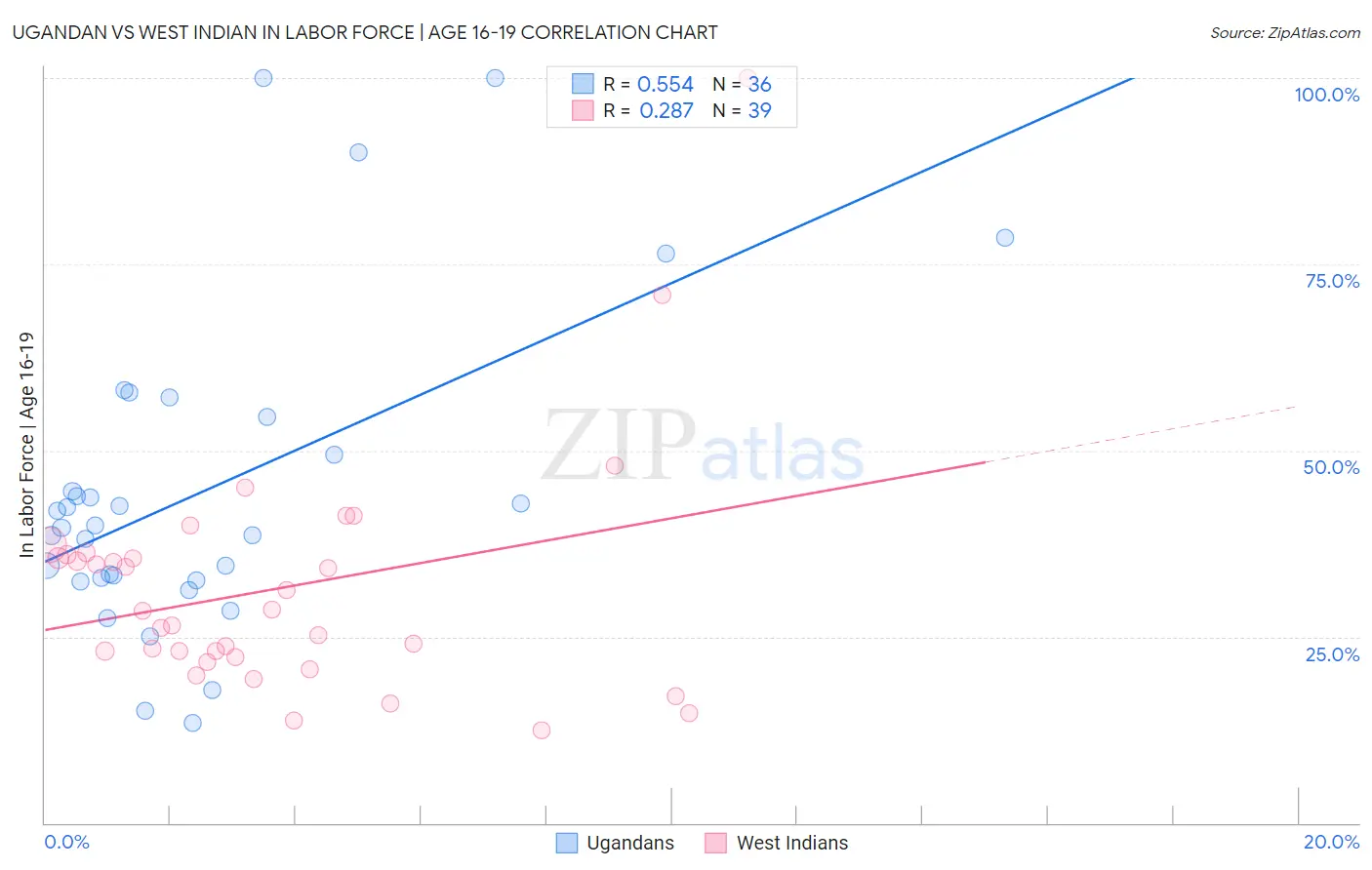 Ugandan vs West Indian In Labor Force | Age 16-19