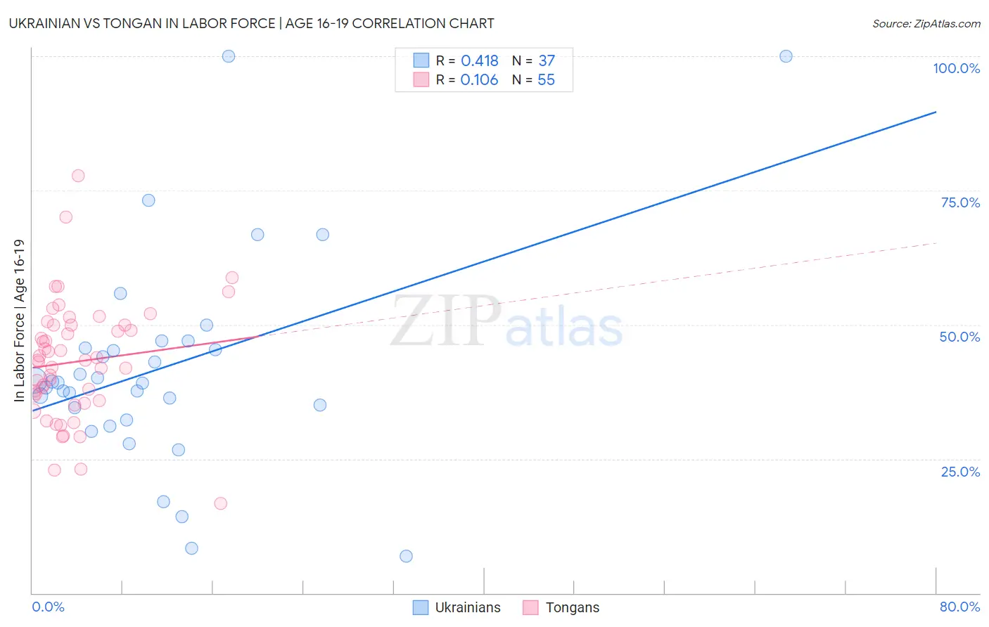 Ukrainian vs Tongan In Labor Force | Age 16-19