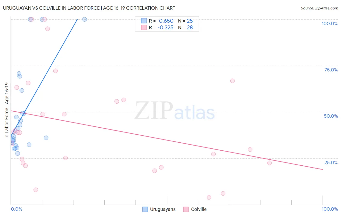 Uruguayan vs Colville In Labor Force | Age 16-19