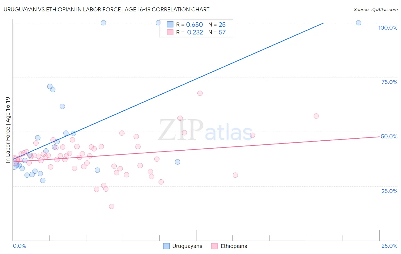 Uruguayan vs Ethiopian In Labor Force | Age 16-19