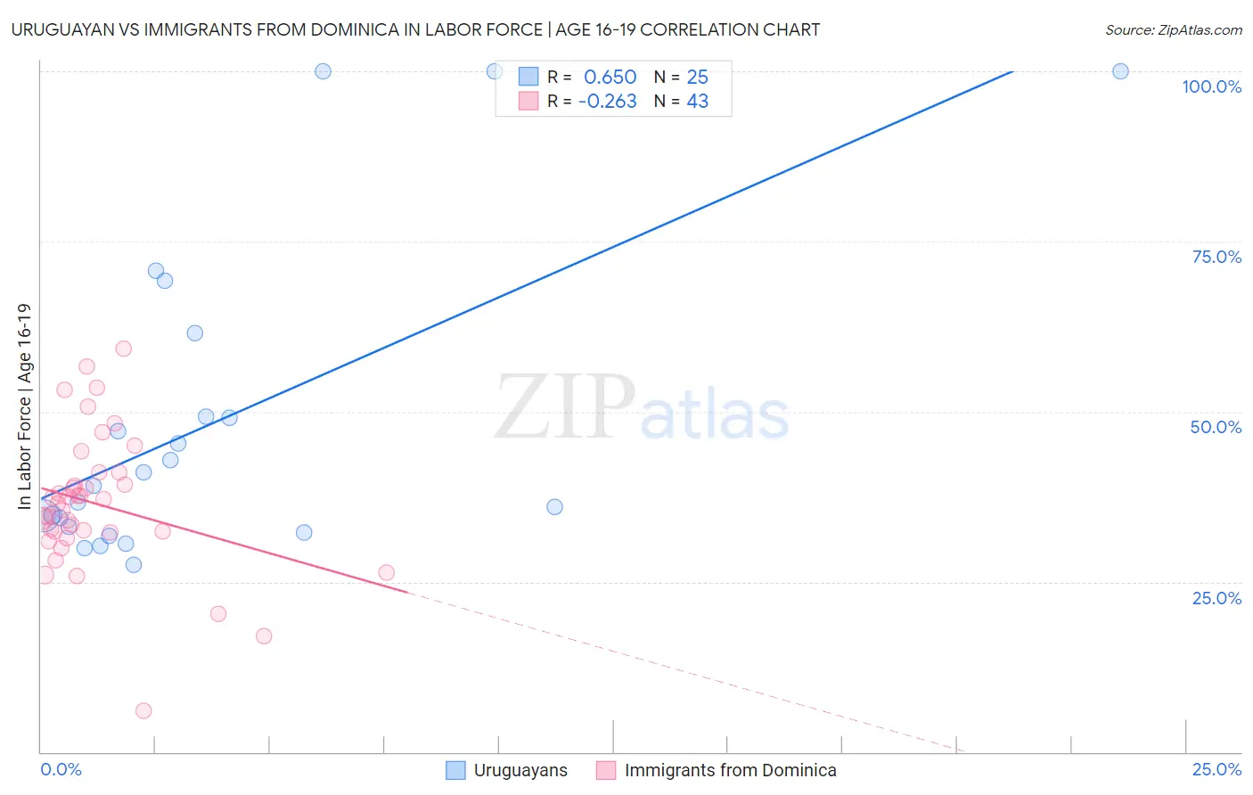 Uruguayan vs Immigrants from Dominica In Labor Force | Age 16-19