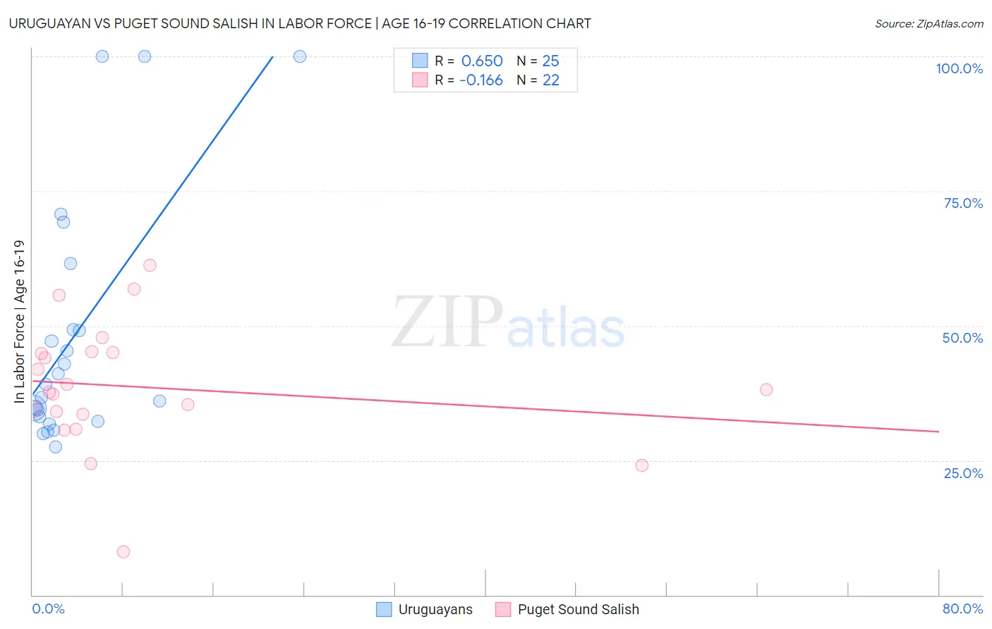 Uruguayan vs Puget Sound Salish In Labor Force | Age 16-19