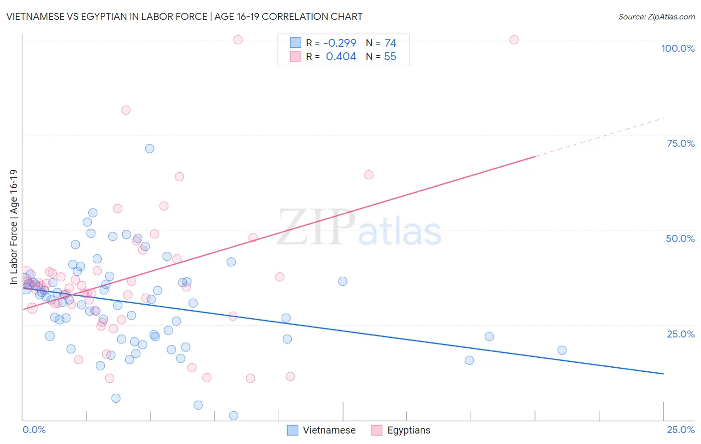 Vietnamese vs Egyptian In Labor Force | Age 16-19