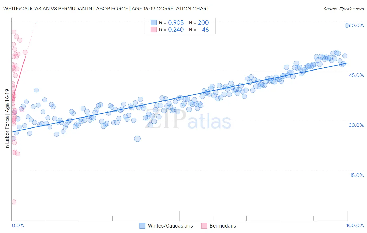 White/Caucasian vs Bermudan In Labor Force | Age 16-19