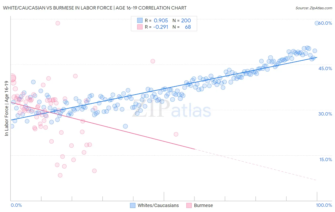 White/Caucasian vs Burmese In Labor Force | Age 16-19