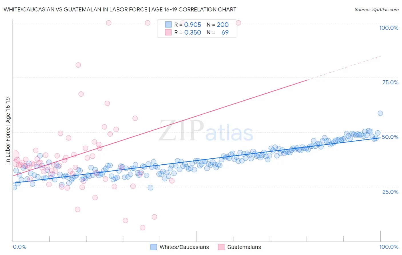 White/Caucasian vs Guatemalan In Labor Force | Age 16-19