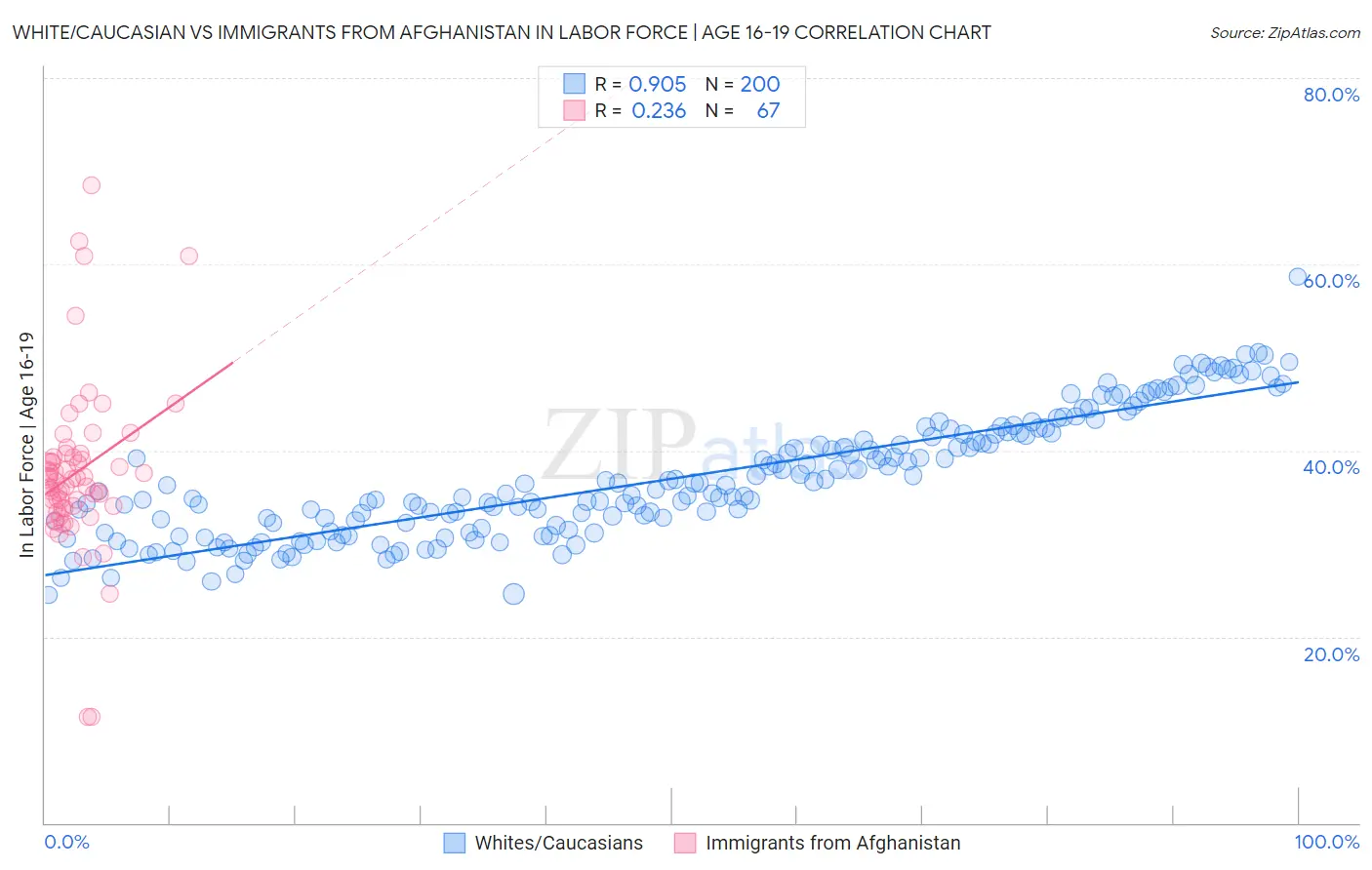 White/Caucasian vs Immigrants from Afghanistan In Labor Force | Age 16-19