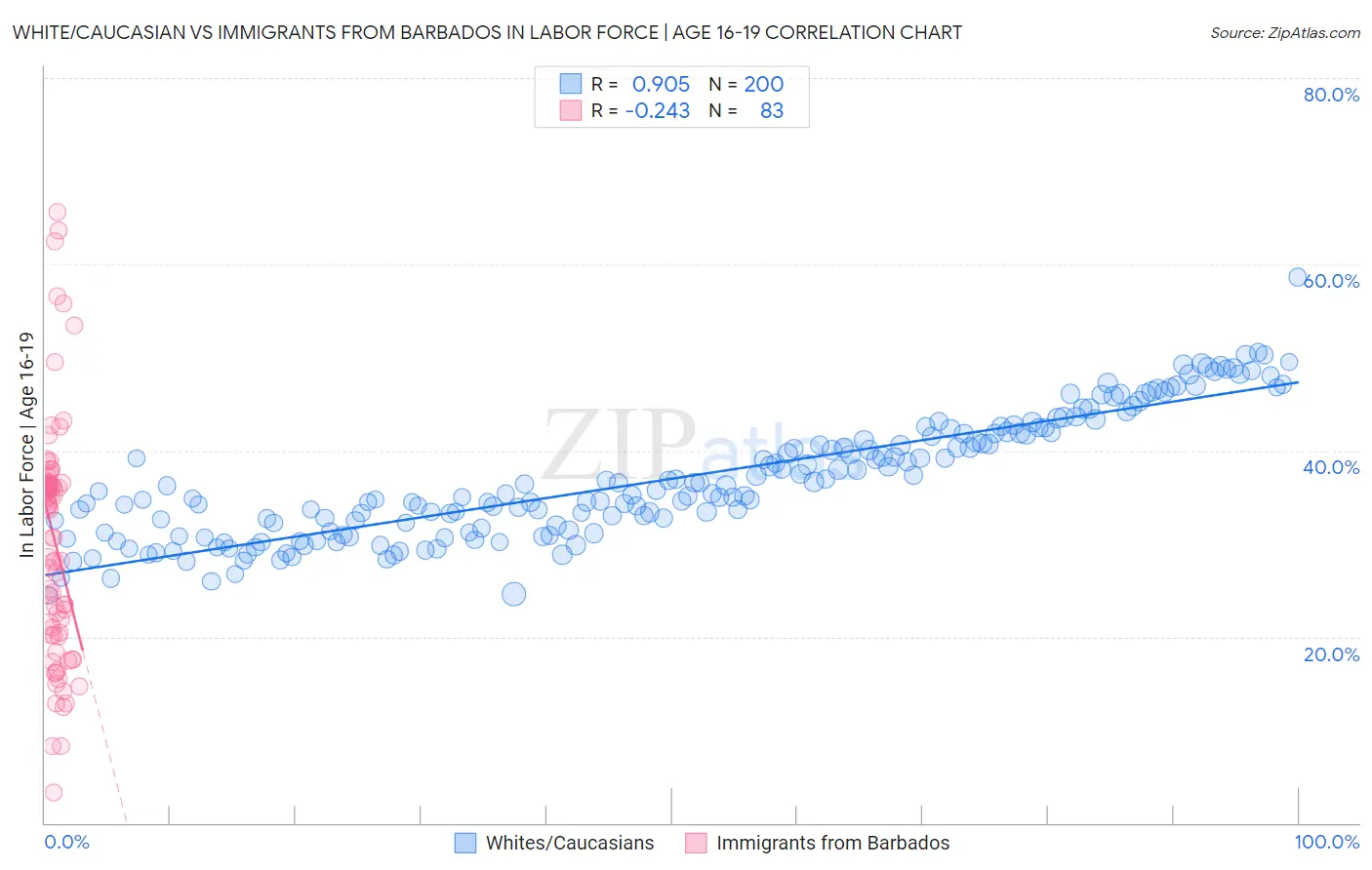 White/Caucasian vs Immigrants from Barbados In Labor Force | Age 16-19