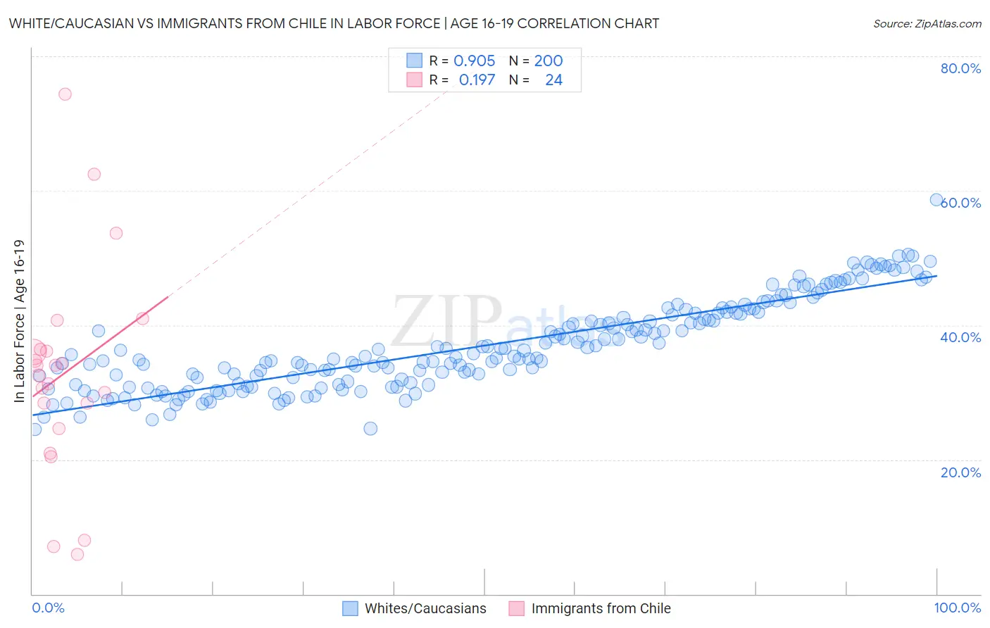 White/Caucasian vs Immigrants from Chile In Labor Force | Age 16-19