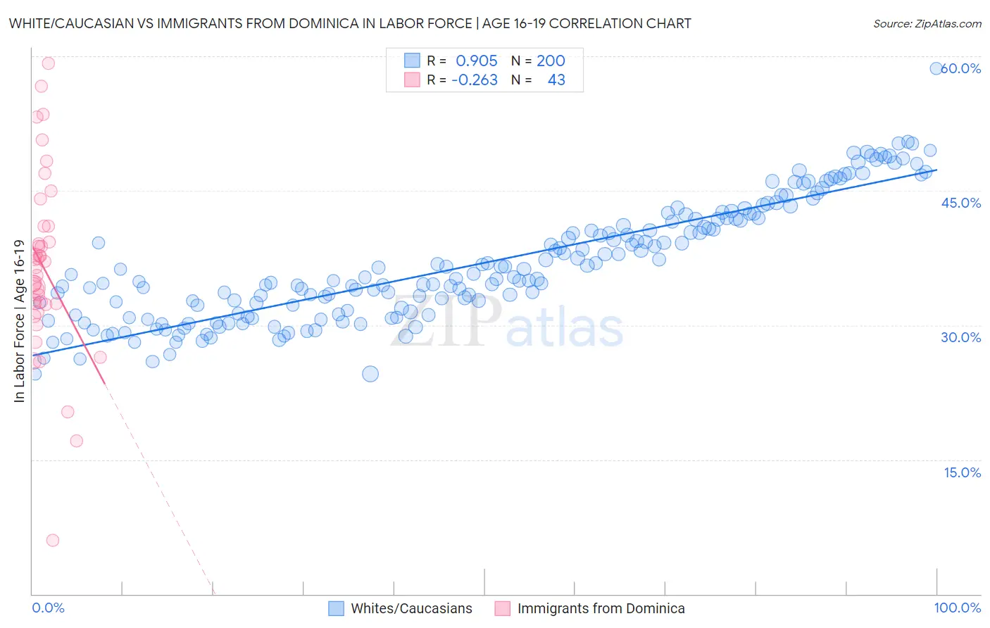 White/Caucasian vs Immigrants from Dominica In Labor Force | Age 16-19