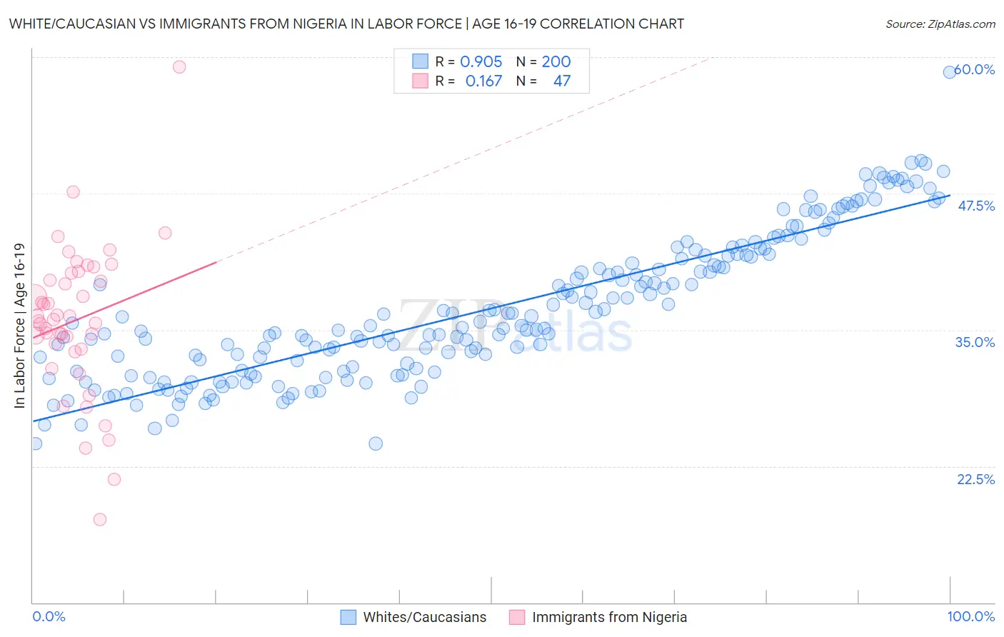 White/Caucasian vs Immigrants from Nigeria In Labor Force | Age 16-19