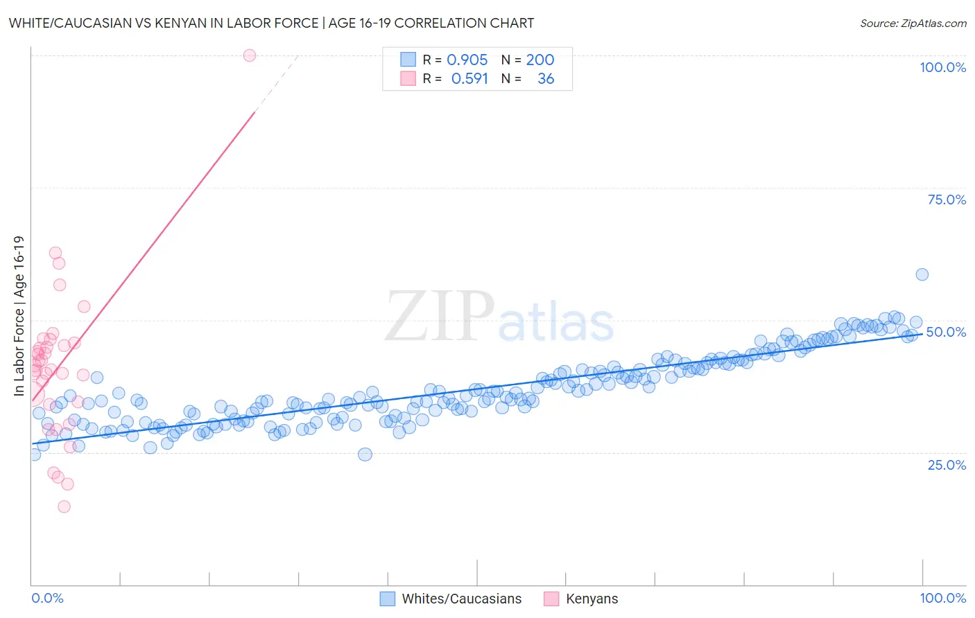 White/Caucasian vs Kenyan In Labor Force | Age 16-19