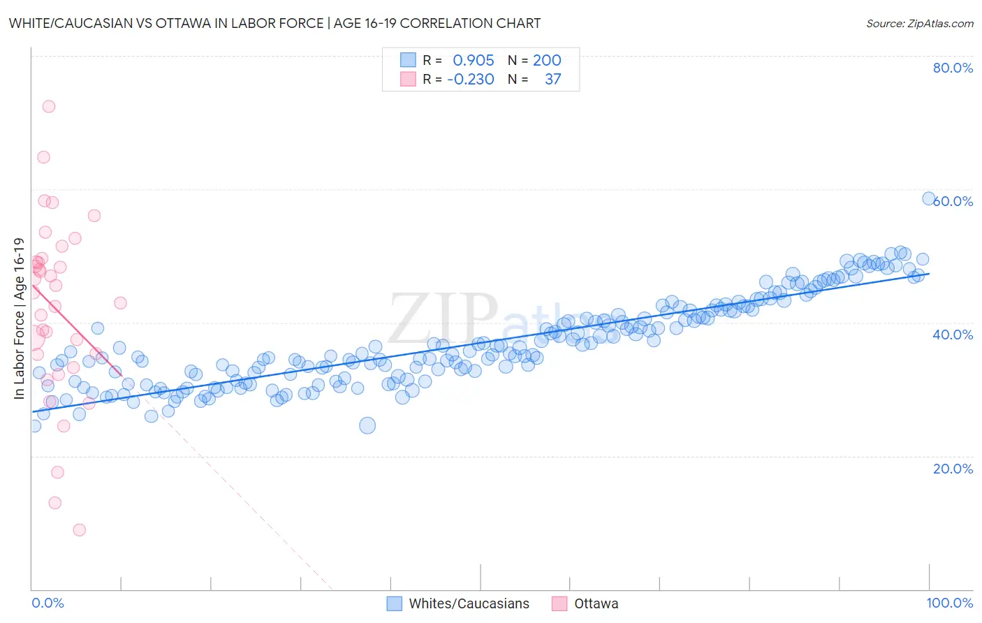 White/Caucasian vs Ottawa In Labor Force | Age 16-19