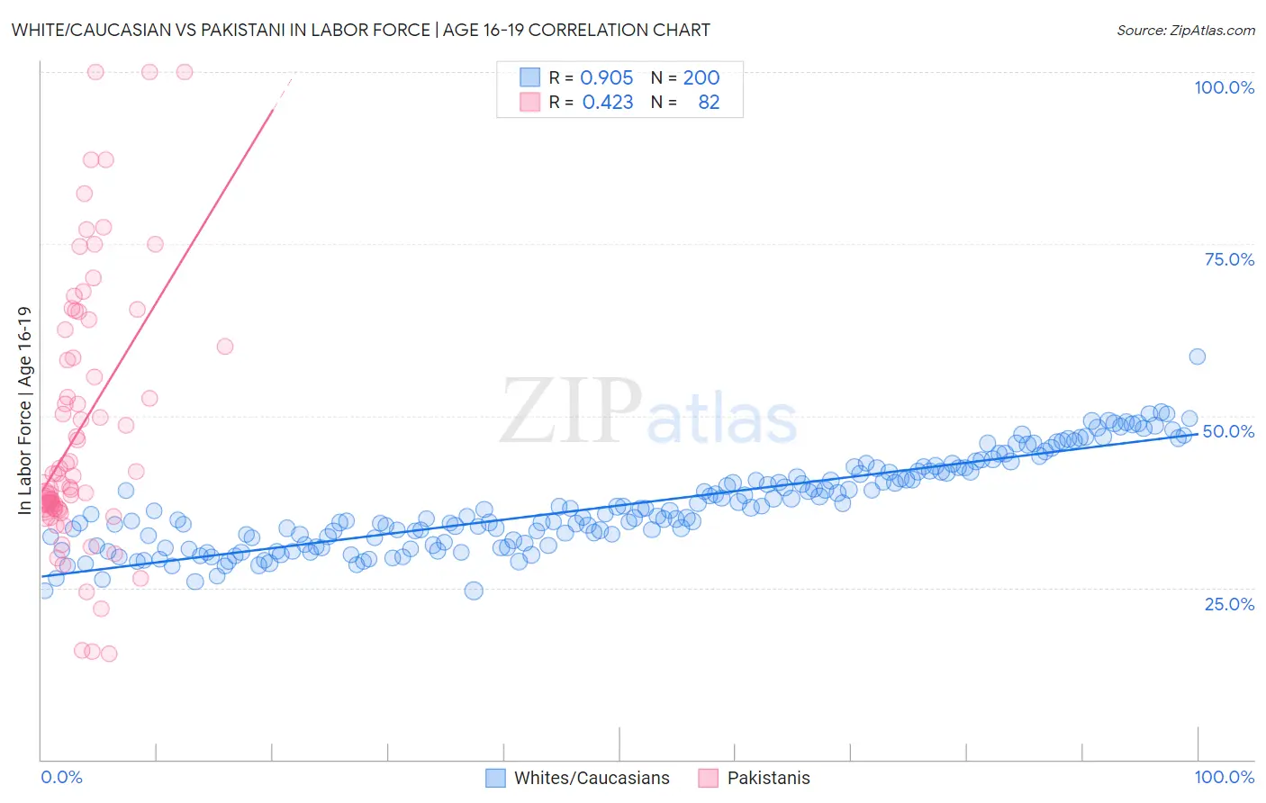 White/Caucasian vs Pakistani In Labor Force | Age 16-19