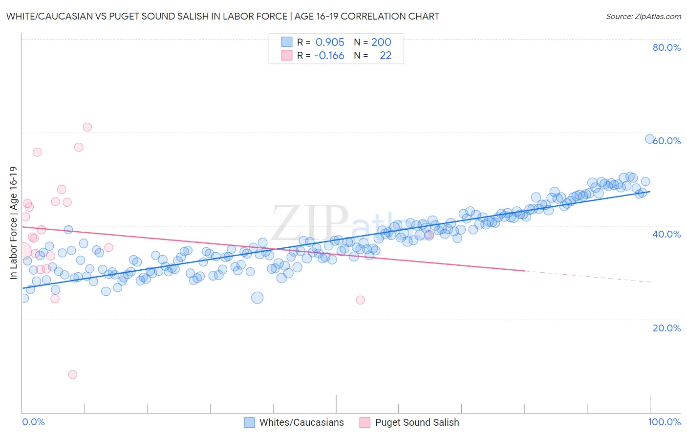 White/Caucasian vs Puget Sound Salish In Labor Force | Age 16-19