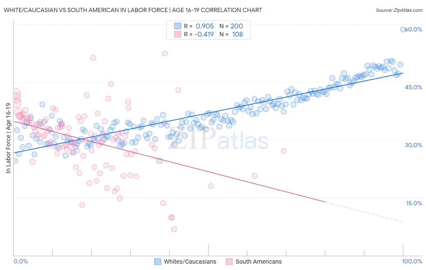 White/Caucasian vs South American In Labor Force | Age 16-19