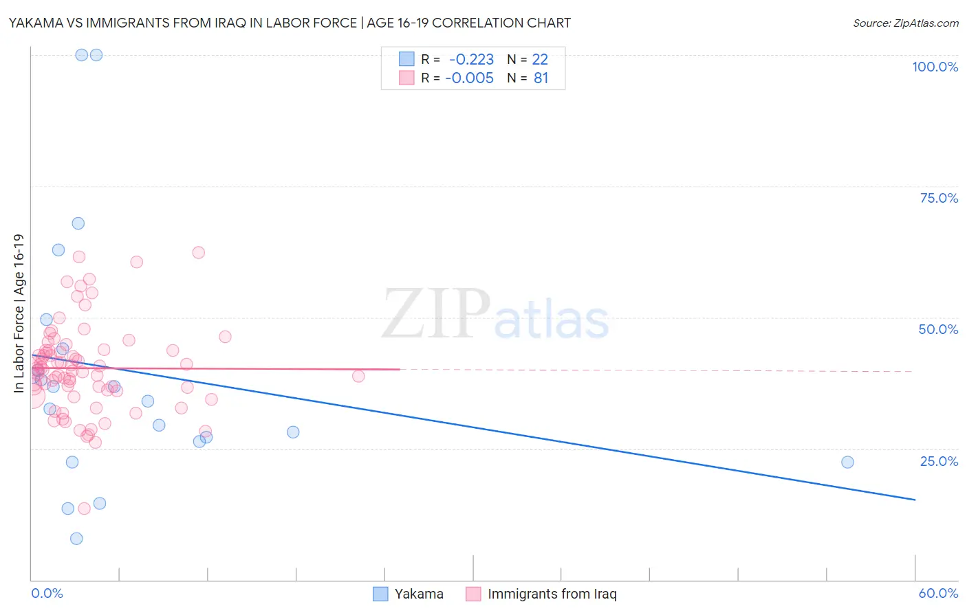 Yakama vs Immigrants from Iraq In Labor Force | Age 16-19