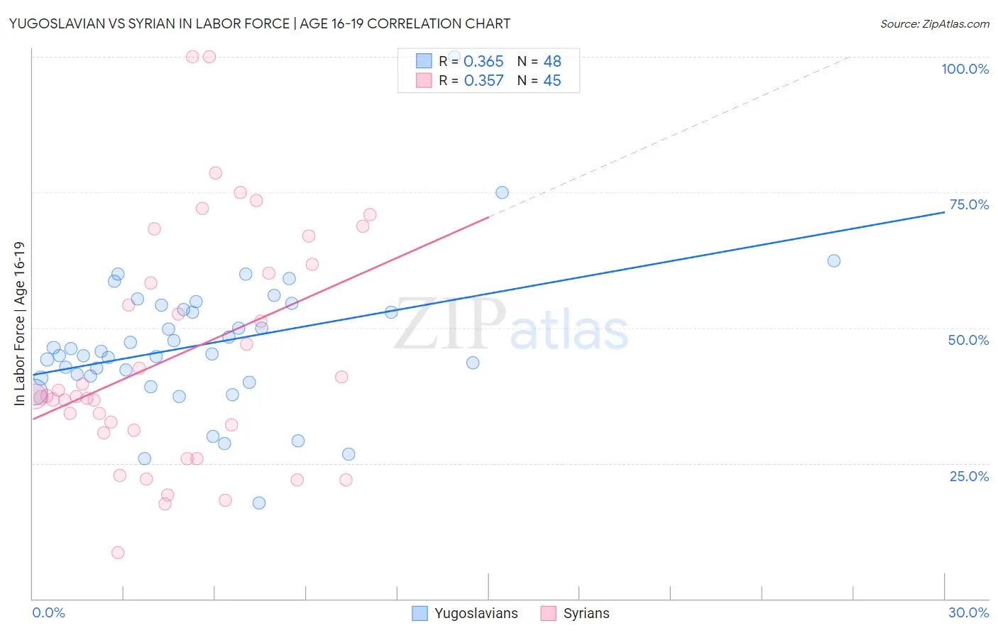 Yugoslavian vs Syrian In Labor Force | Age 16-19