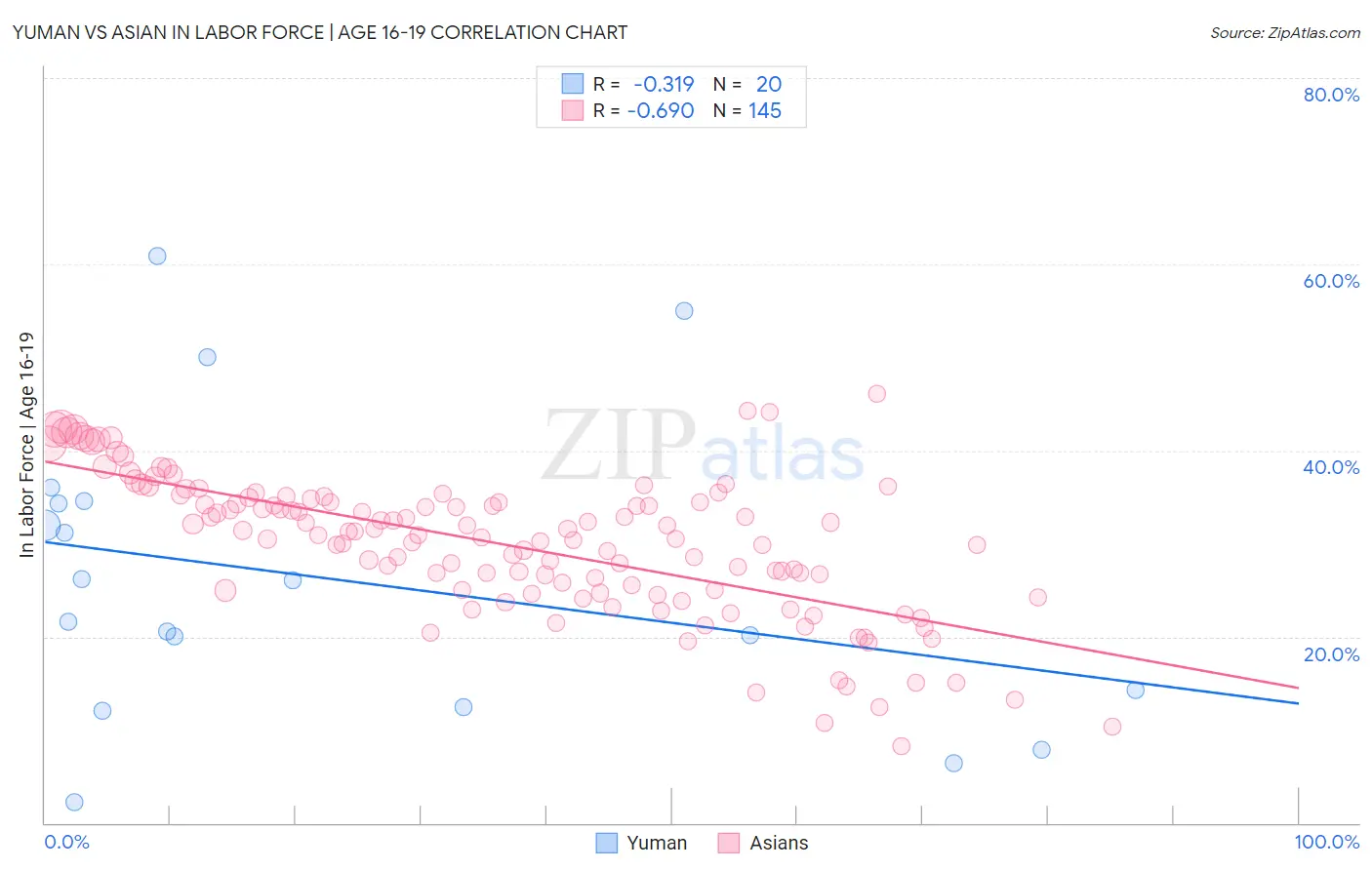 Yuman vs Asian In Labor Force | Age 16-19