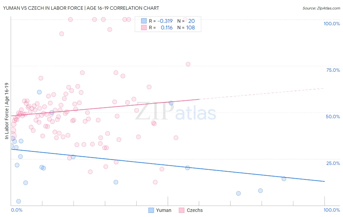 Yuman vs Czech In Labor Force | Age 16-19