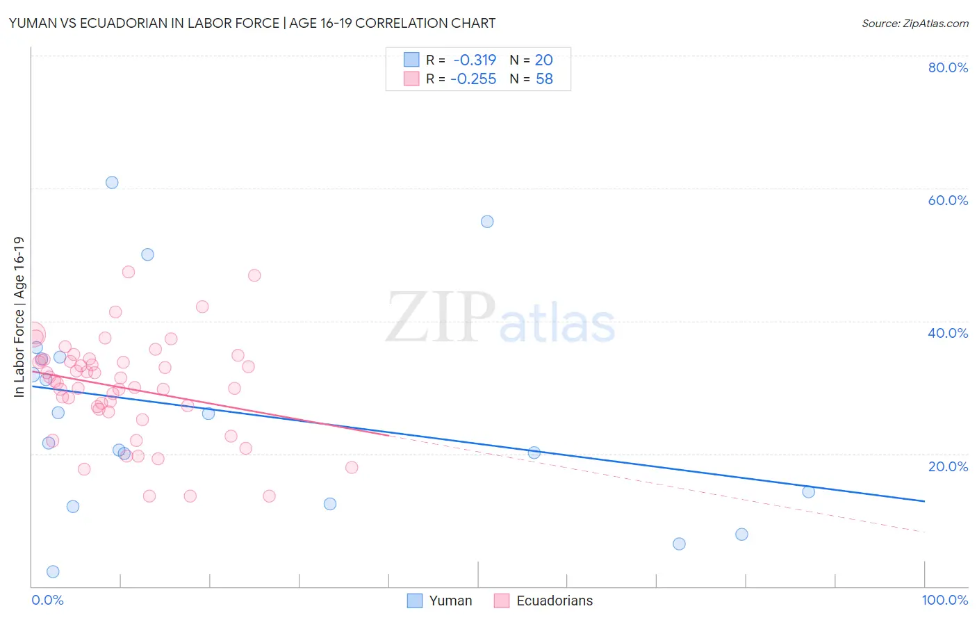 Yuman vs Ecuadorian In Labor Force | Age 16-19