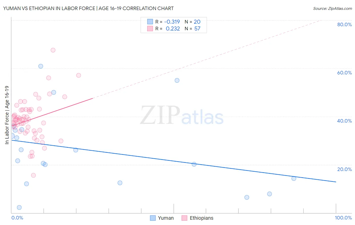 Yuman vs Ethiopian In Labor Force | Age 16-19